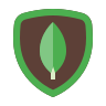 icons8-mongodb-96